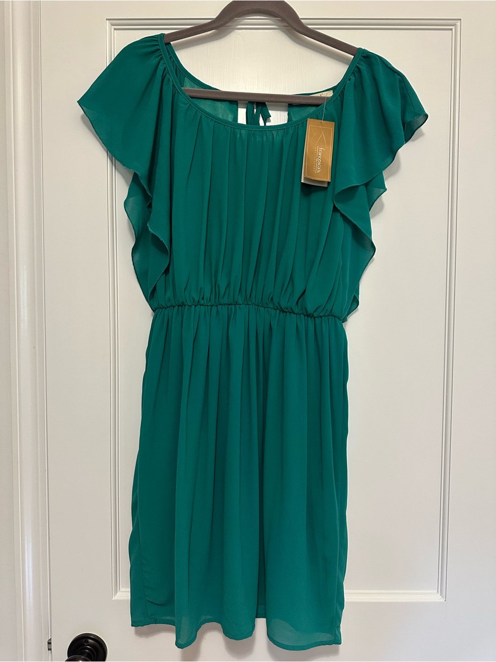 NWT Francesca's Teal Green Ruffled Chiffon Dress